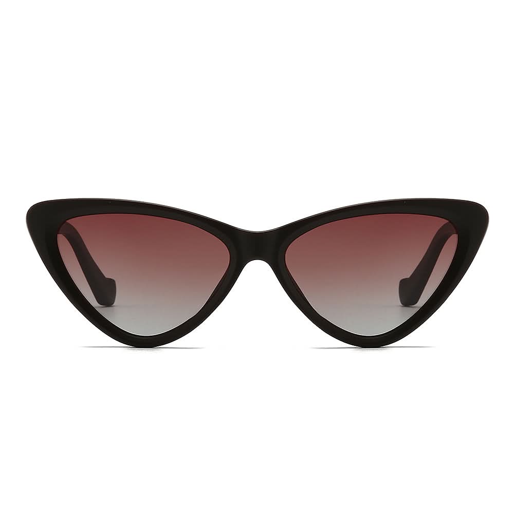 Dollger Acetate Cat-Eye Tinted Sunglasses