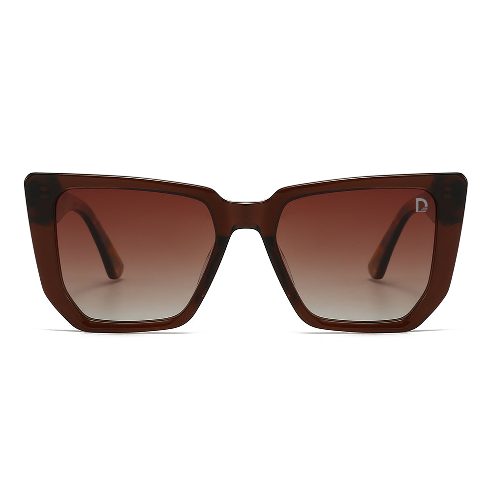 Dollger Black-Clear Hipster Acetate Square Tinted Sunglasses